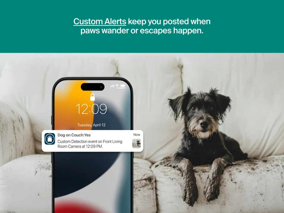 Custom detection alert example on the Arlo Essential Pan Tilt Indoor camera, showing a dog-on-couch notification