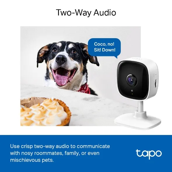 Tapo C100 two-way audio camera next to a dog