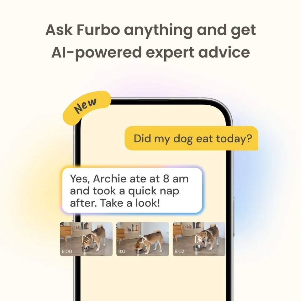 Furbo app on a phone showing a Full HD night vision view of a dog standing in a room at night