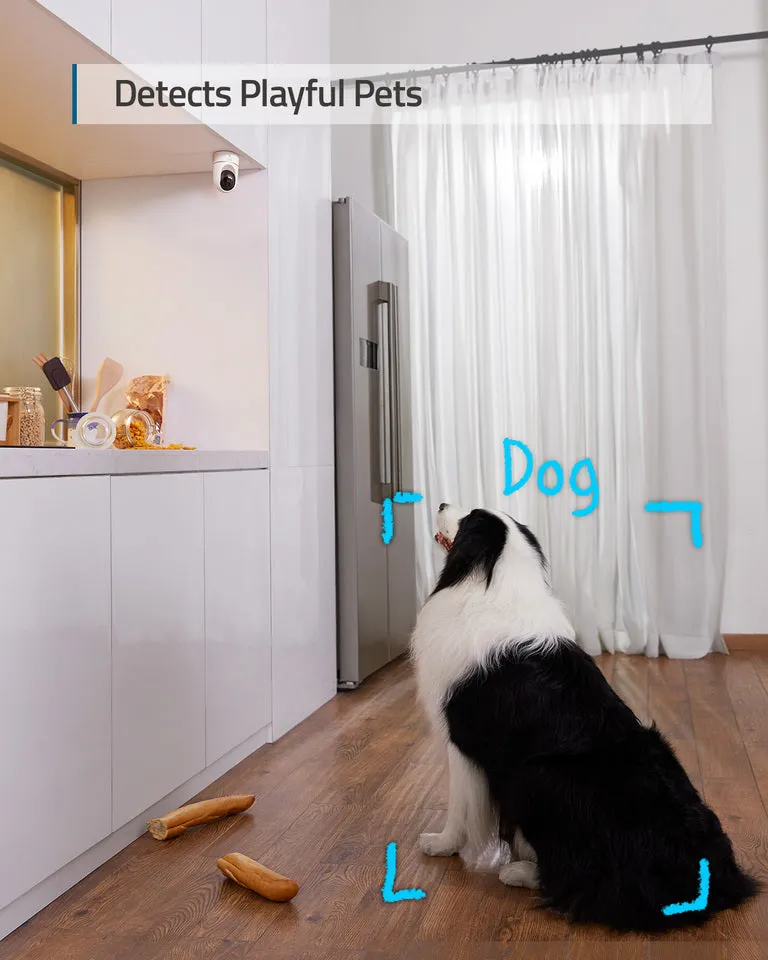 eufy Indoor Cam E220 official graphic showing pet detection framing a dog in a kitchen