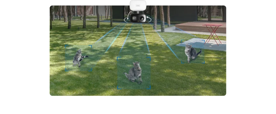 Tapo C216 ceiling-mounted outdoors, panning and tilting to track a cat in the garden below