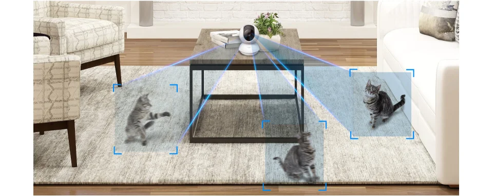 Tapo C210 on a coffee table using smart motion tracking to follow a cat across a living-room rug