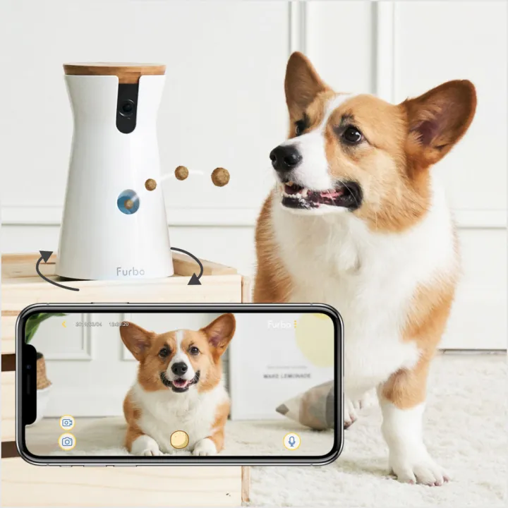 Furbo Dog Camera Review: 360° Treat-Tossing Pet Cam