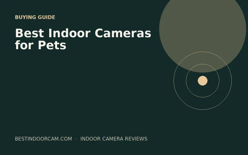 Best Indoor Cameras for Pets